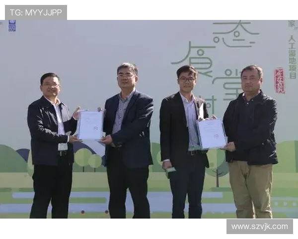 张宁:从青年才俊到行业领袖的成长之路与未来展望 张宁:从青年才俊到行业领袖的成长之路与未来展望