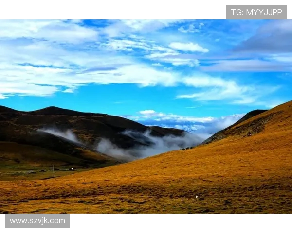 李泓澎的成长之路与艺术追求：从初心到辉煌的心灵旅程