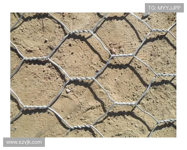 深圳极限运动队的区域防守策略揭秘与深度分析 深圳极限运动队的区域防守策略揭秘与深度分析