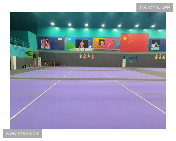 北京羽毛球队耐力创新高引发全国关注羽毛球运动热潮再度升温