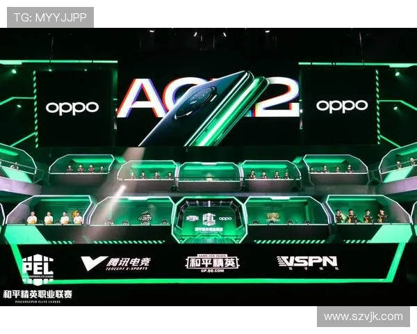 和平精英深度解析RNG战队的成功运营策略与发展之路