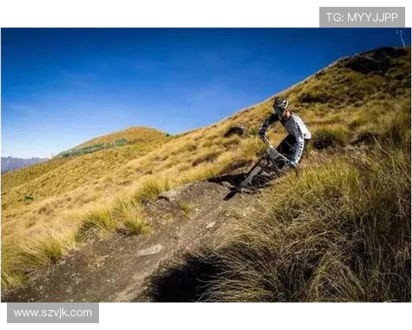 极限运动的战术解析：西安极限运动队如何构建区域防守体系