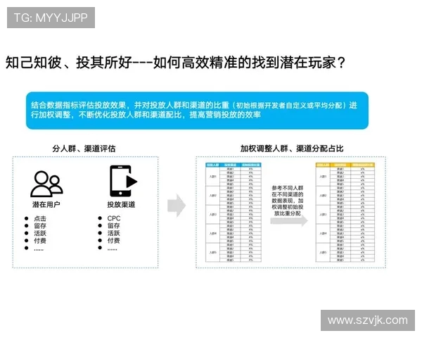 深入分析上海篮球队的运营策略与战术布局探讨